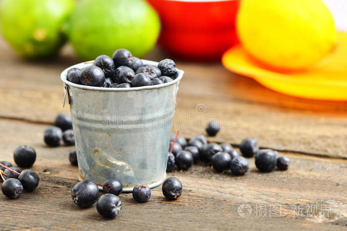 花园 蓝莓 美味的 饮食 健康 浆果 瑞典 自然 营养 甜点