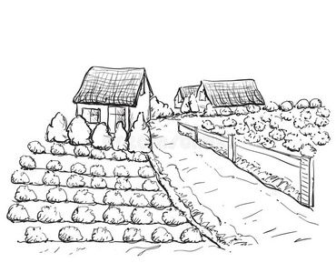 手绘乡村房屋素描和自然照片