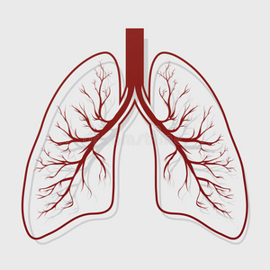 疾病 肺炎 器官 身体 航空公司 图表 解剖 呼吸系统 生物学