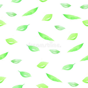 分支 草药 自然 树叶 植物区系 织物 要素 植物学 插图