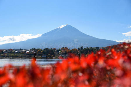 富士 季节 日本人 植物 美女 日本 风景 攀登 观光 天空