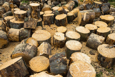 材料 木材 自然 锯末 松木 植物 堆栈 磨坊 硬木 古老的