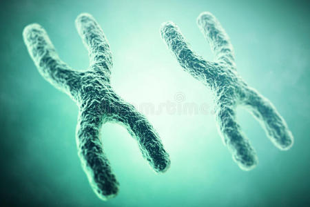 医疗保健 遗传 核型 微生物 化学 健康 基因组 发现 不适