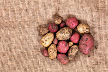 维生素 花园 土壤 复制 织物 营养 粗麻布 食物 马铃薯