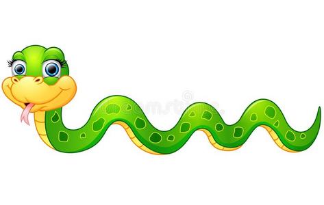 金蟒蛇皮(蟒蛇网纹)金网纹蟒或蚺