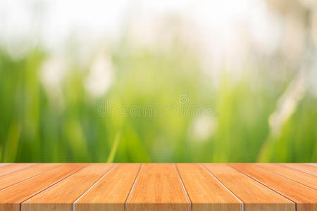 木板 广告 波基 森林 公园 柜台 春天 树叶 花园 模糊