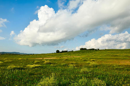 中国人 城市 领域 国家的 草地 生物 亚洲 森林 风景