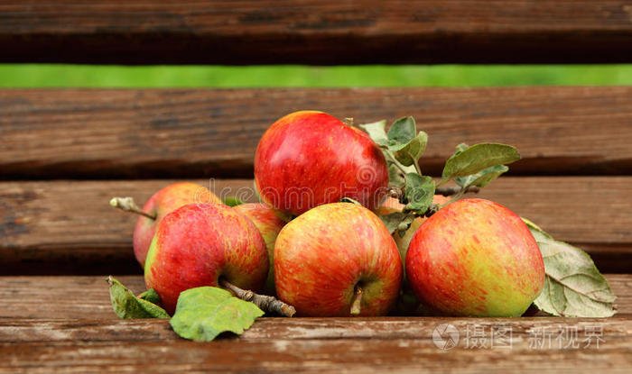 种植园 花园 果园 农场 农业 自然 作物 苹果 水果 园艺