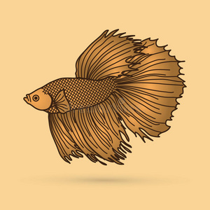 斗鱼插画-斗鱼手绘-斗鱼卡通图-摄图新视界