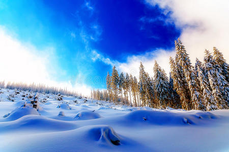 美丽的山地雪景和白雪覆盖的树木。 山中美丽的晴天。