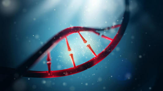 DNA分子。 人类基因组概念的特写。