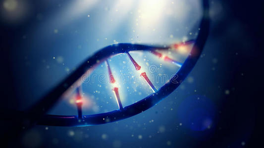 dna分子. 人类基因组概念的特写.照片