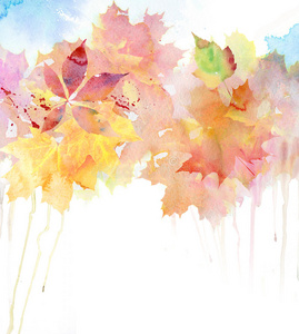 艺术品 卡片 招呼 框架 枫树 植物区系 美丽的 落下 树叶