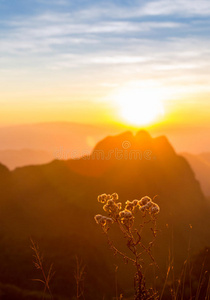 山上的夕阳