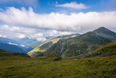 小山 美丽的 蒲公英 自然 草地 领域 阿尔卑斯山 牧场