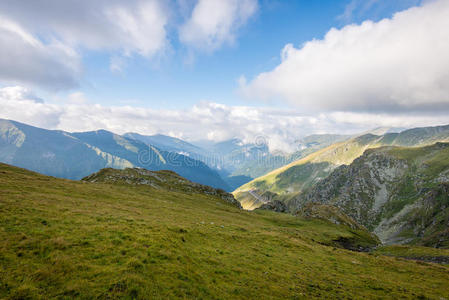 植物 全景图 领域 小山 冒险 美丽的 喀尔巴阡山 徒步旅行