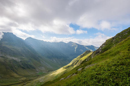 攀登 徒步旅行 开花 冒险 全景图 领域 蒲公英 喀尔巴阡山