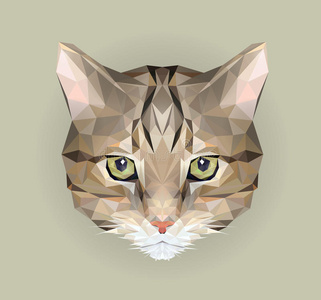 几何大熊猫矢量彩色抽象多边形插图动物面具抽象几何形状矢量彩色抽象