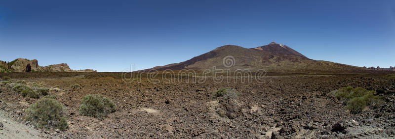 泰德 公园 联合国教科文组织 火山 植物区系 旅行 国家的