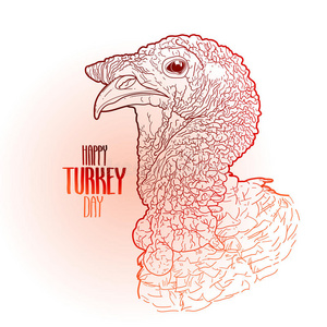 素描感恩节火鸡图片