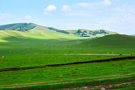 丘陵 美丽的 花园 地质公园 中国人 赤峰 草地 瓷器 领域