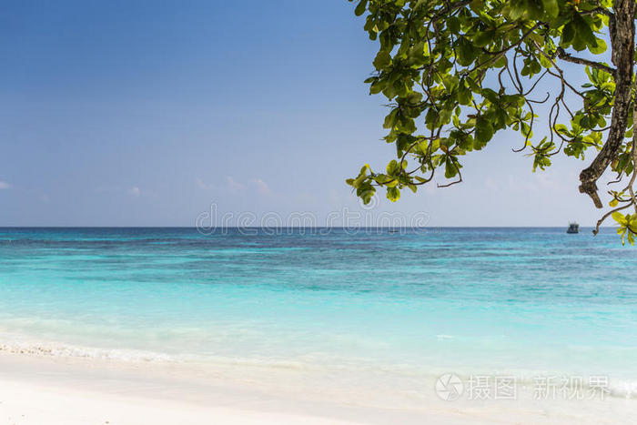 海滩 地标 海的 假日 岩石 美丽的 亚洲 安达曼 海洋