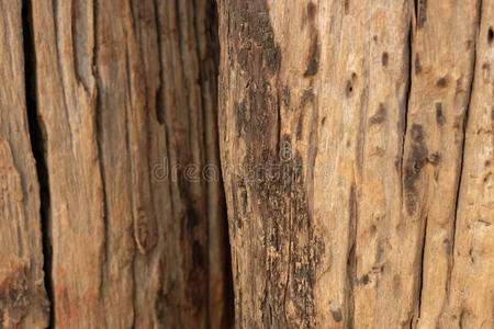 棕色木制自然纹理