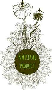 身体 自然 框架 标签 化妆品 化妆 花的 照顾 插图 徽章