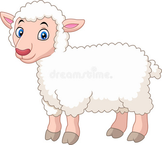 可爱的卡通羔羊隔离在白色背景照片