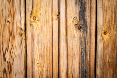 咕哝 地板 地面 硬木 自然 古老的 材料 松木 木工 树桩