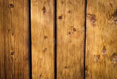 树桩 公司 自由的 古老的 树皮 材料 纹理 戒指 硬木