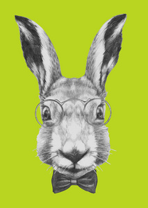 宝贝 野兔 卡片 玻璃杯 咕哝 有趣的 动物 插图 面对