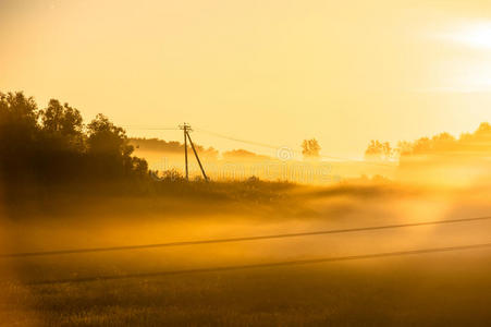 在草地上雾蒙蒙的早晨。 日出景观