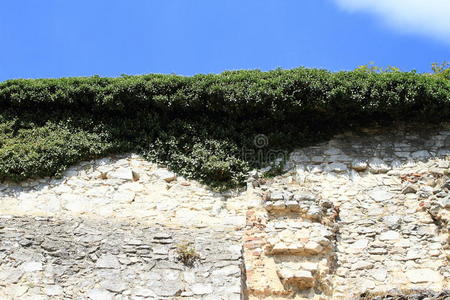 城堡墙被绿色植物覆盖