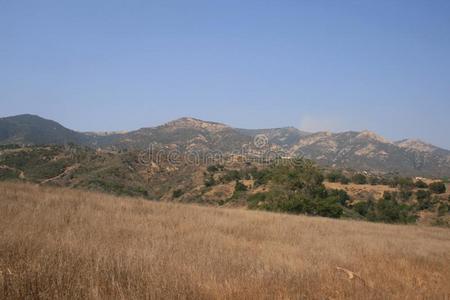 米色 草地 全景图 风景 牧场 领域 粉红色 自然 天空