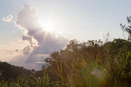 夏天 风景 太阳爆发 爆发 颜色 闪耀 日落 阳光 场景