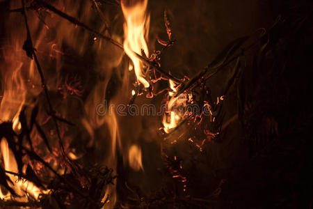 火上的细节与燃烧的树枝，原木和树叶