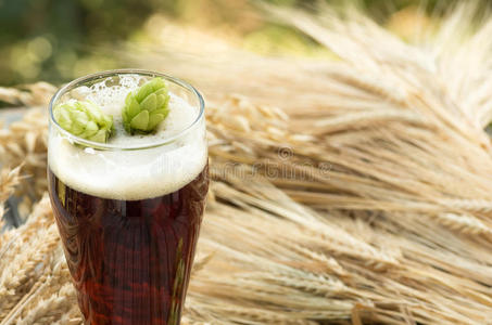 啤酒,克瓦斯麦芽啤酒花照片