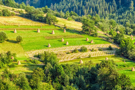 栅栏 堆栈 风景 干草堆 颜色 美丽的 小山 乡村 夏天