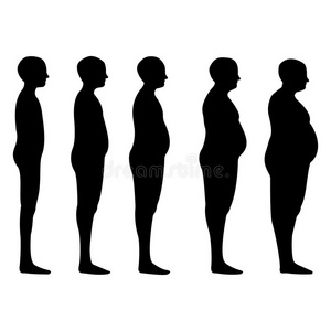 瘦, 胖, 体型, 肥胖程度, 身体从瘦到胖的比例向量, 减肥的概念训练