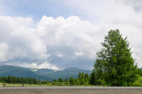 阿勒泰 卡顿 落基山脉 西伯利亚 天空 极端 俄罗斯 冰碛