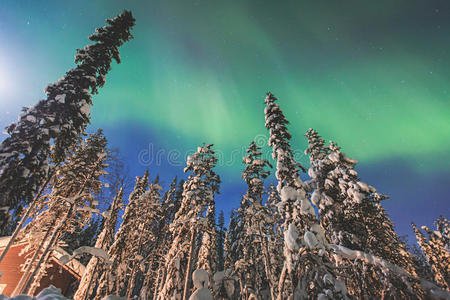 美丽的图片，巨大的多色绿色充满活力的北极光，北极光