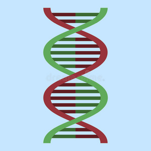 进化 染色体 医学 要素 生物化学 偶像 化学 克隆 代码