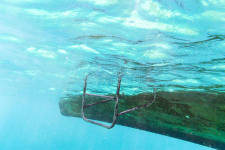 阳光 器官 自然 波动 木材 浮潜 暗礁 旅行 太阳 在下面