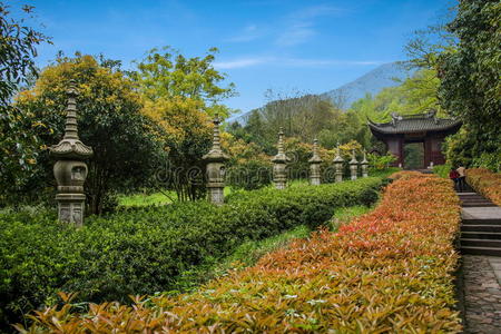 雕塑 书法 寺庙 佛教 建筑学 植物 性格 旅游业 风景