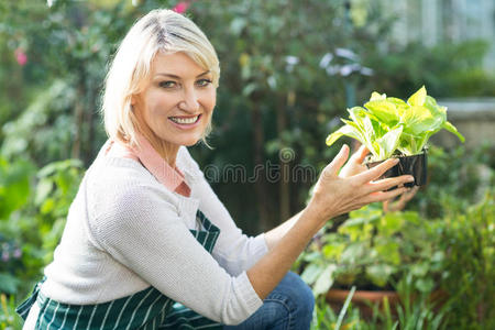 自信的女园丁拿着盆栽