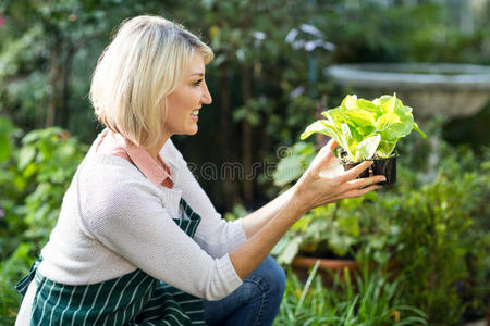 女性园丁在工作时拿着盆栽植物