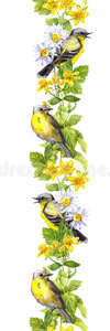 野生草本植物的鸟，花。 水彩画。 重复边框