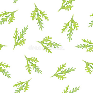 春天 植物学 纸张 夏天 墙纸 植物 树叶 纹理 绘画 插图