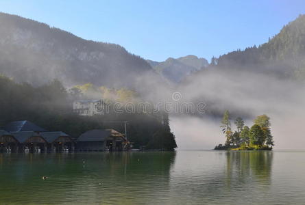 假期 日出 森林 薄雾 松木 早晨 德国 贝希特斯加登 阳光